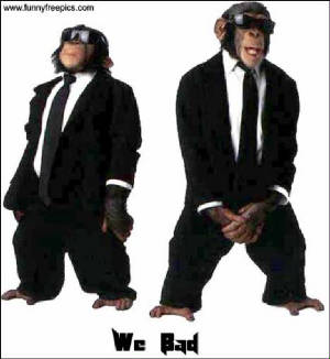 bluesbrothers.jpg